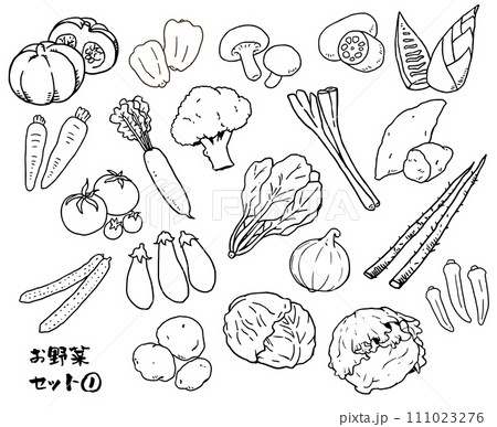 お野菜セット①線画 お野菜セット①線画 111023276