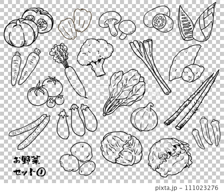 Vegetable set ① line drawing 111023276
