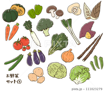 お野菜セット①のイラスト素材 [111023279] - PIXTA