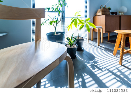 Image photo 111023588