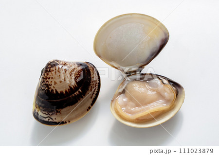 国産蛤 本蛤 桑名の蛤 むき身 生 刺身 国産蛤 本蛤 桑名の蛤 むき身 生 刺身 111023879