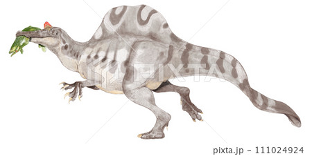 スピノサウルス亜科の大番頭　南アメリカのスピノサウルス 111024924