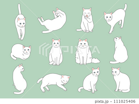 シンプルでかわいい白猫のイラストセット 111025406