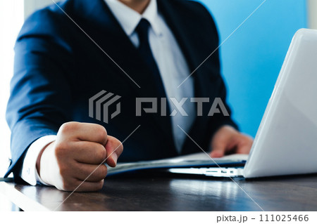 拳を握りしめるビジネスマン 111025466