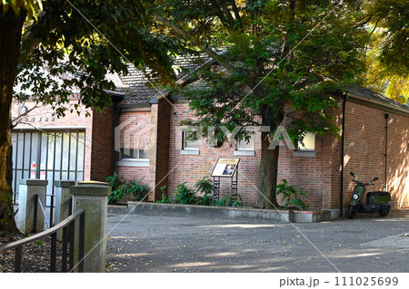 横浜　元町公園の景色 111025699