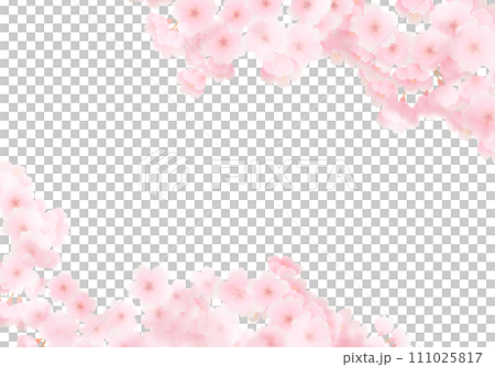 水彩風の満開の桜の背景イラスト 水彩風の満開の桜の背景イラスト 111025817