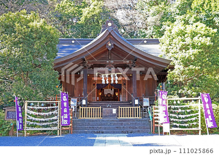 武州白子熊野神社(和光) 武州白子熊野神社(和光) 111025866