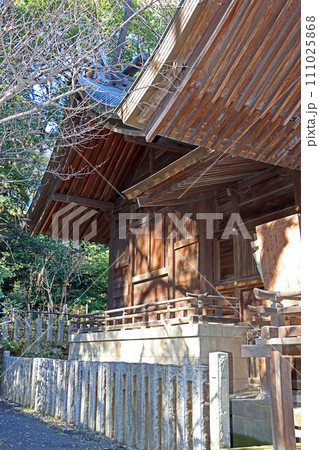 武州白子熊野神社(和光) 武州白子熊野神社(和光) 111025868