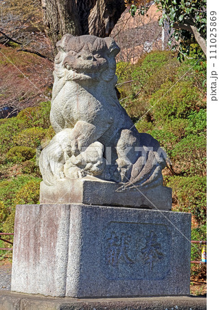 武州白子熊野神社(和光) 武州白子熊野神社(和光) 111025869
