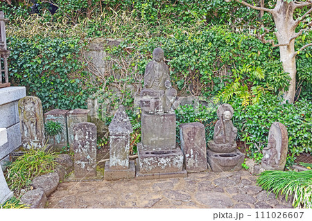 本覚寺（神奈川） 111026607