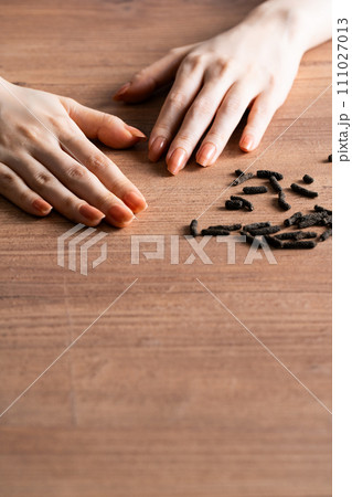 ヒハツと手元のテーブルイメージ 111027013