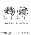 INTESTINE IS SECOND BRAIN MONOCHROME Human Health Medicine Lifestyle Teaching Students Vector Illustration Visual Sketch Of Head On Banner 111027442