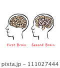 INTESTINE IS SECOND BRAIN Human Health Medicine Lifestyle Teaching Students Vector Illustration Visual Sketch Of Head On Banner 111027444