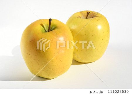 りんご(サンむつ) りんご(サンむつ) 111028630