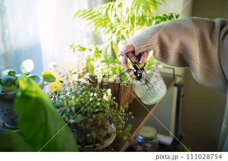 植物に水やりをする女性 111028754