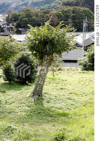 WELCOME(ウェルカム)と書かれた木 WELCOME(ウェルカム)と書かれた木 111028789