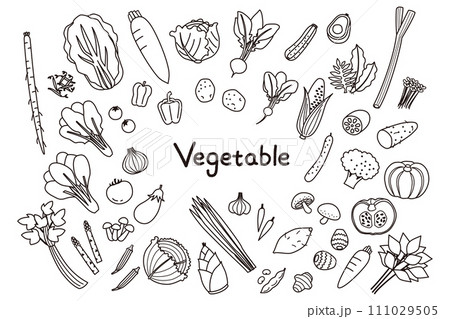 いろいろな野菜の線画イラストセット いろいろな野菜の線画イラストセット 111029505