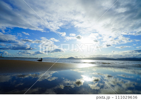 海面に映る雲と1羽のかもめ 111029636