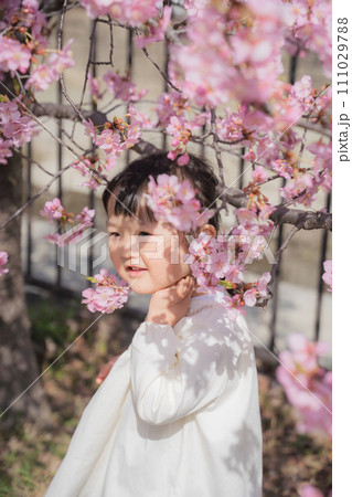 桜の花を背景にした女の子 111029788
