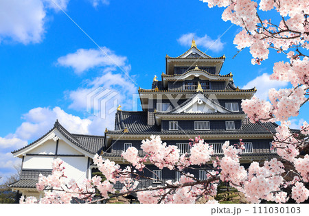 Okayama castle (Black castle), Okayama city, Japan. Old Japanese Ravens Castle and flowers of sakura. Traditional japanese hanami festival. Spring cherry blossoming season in Japan Okayama castle (Black castle), Okayama city, Japan. Old Japanese Ravens Castle and flowers of sakura. Traditional japanese hanami festival. Spring cherry blossoming season in Japan 111030103