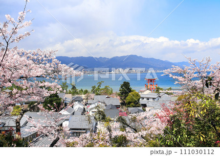 Aerial view on floating Torii gate and blooming sakura trees, Itsukushima Shrine, Miyajima island, Hiroshima, Japan. Traditional japanese hanami festival. Spring cherry blossoming season in Asia 111030112