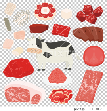 Beef illustration set 111030350