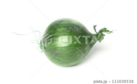 Green onion on white background Green onion on white background 111030538