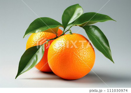 Tangerines or clementines with green leaf on gray background 111030974