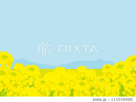 菜の花畑の春っぽい背景イラスト 111030980