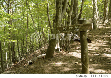 滝子山下山口 111031809