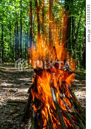 Flame of charcoal fire. Hearth for cooking and heating. Danger in forest Flame of charcoal fire. Hearth for cooking and heating. Danger in forest 111032035