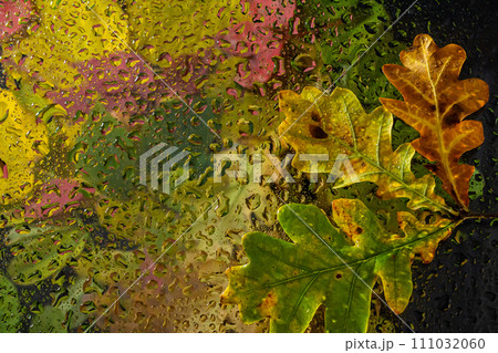 abstract background fall, glass drops autumn yellow leaves wet october weather abstract background fall, glass drops autumn yellow leaves wet october weather 111032060