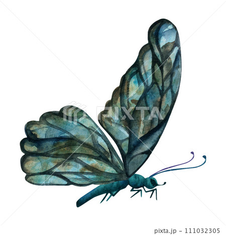 Hand drawn watercolor illustration butterfly fairy wings gem crystal insect moth. Single object isolated on white background. Design print, shop, wedding, birthday 111032305
