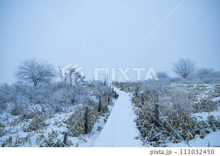 雪景色の高原の木道 111032450