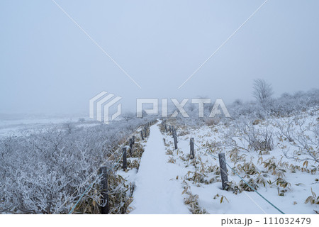 雪景色の高原の木道 雪景色の高原の木道 111032479