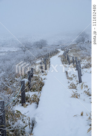 雪景色の高原の木道 雪景色の高原の木道 111032480
