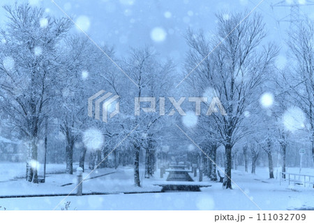 雪降る公園 雪降る公園 111032709