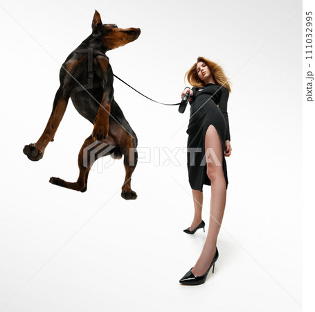 Wide angle. Young woman in glamour dress owner of purebred Doberman puppy walking with him on leash against white studio background. Wide angle. Young woman in glamour dress owner of purebred Doberman puppy walking with him on leash against white studio background. 111032995