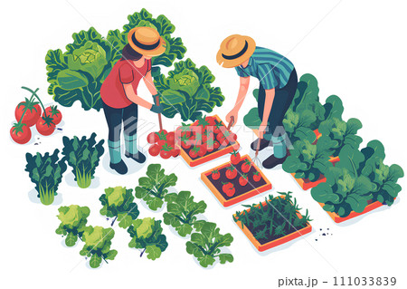 農作業中の若い二人。たくさんの野菜があります-1 111033839