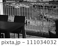 モノクロの海辺 111034032