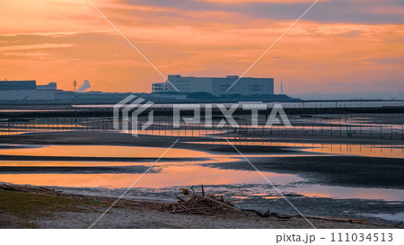 夜明けの干潮 ふなばし三番瀬海浜公園の干潟(千葉県船橋市) 夜明けの干潮 ふなばし三番瀬海浜公園の干潟(千葉県船橋市) 111034513