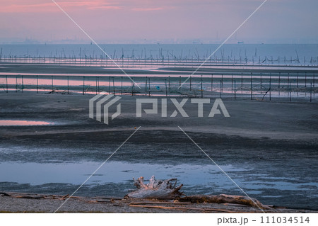 夜明けの干潮　ふなばし三番瀬海浜公園の干潟（千葉県船橋市）　 111034514
