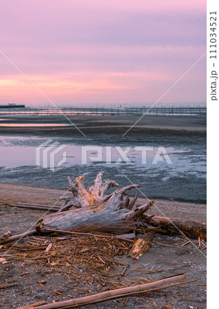 夜明けの干潮　ふなばし三番瀬海浜公園の干潟（千葉県船橋市）　 111034521