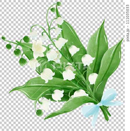 A bouquet of lilies of the valley, tied with a blue ribbon.  Hand Drawn Watercolor illustration of spring flowers  111035033