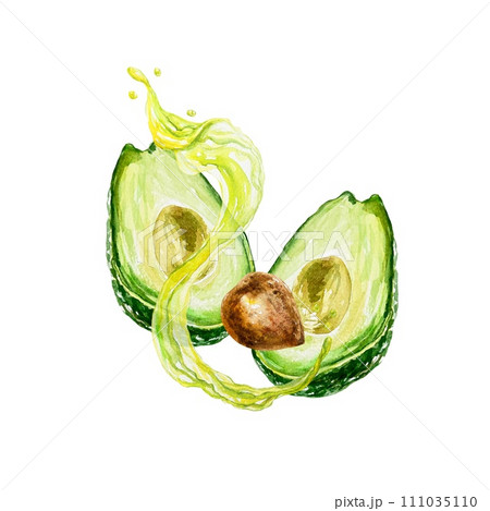 Авокадо акварелью. Половина плода, семьи, брызги. Иллюстрация изолирована на белом фоне. Пищевые этикетки, косметика, упаковка, флаконы, кремы. 111035110