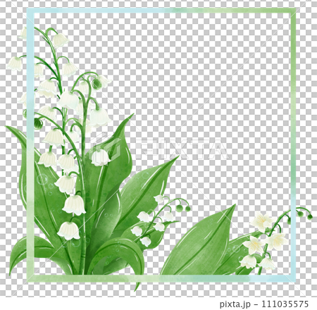 lilies of the valley frame wreath Hand Drawn Watercolor illustration of spring flowers botanical drawing postcards, invitations to weddings, birthdays, spring and summer 111035575