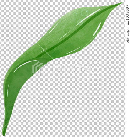 green leave with drop of water Hand Drawn Watercolor illustration of spring flowers botanical drawing postcards, invitations to weddings, birthdays, spring and summer 111035697