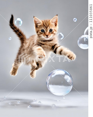 シャボン玉に飛びかかる子猫 111035861