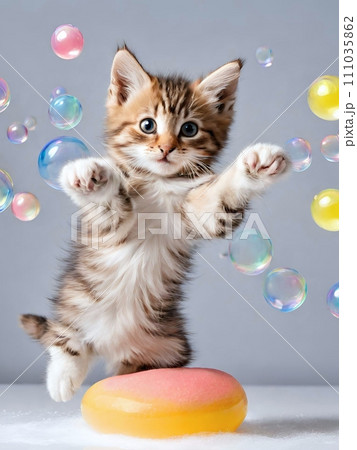 シャボン玉で遊ぶ子猫 111035862