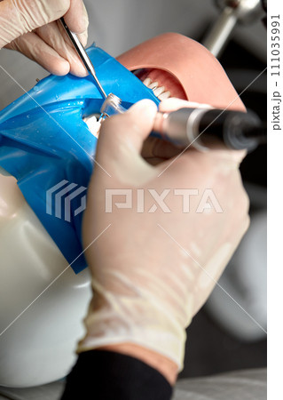 Close-up of dentist hands who is learning to treat teeth on human head mannequin. Hands of medical student in white sterile gloves holding a dental drill. Stomatology and orthodontics concept. 111035991